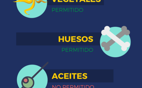 Cómo usar una trituradora de cocina